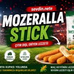 Mozzarella Stick